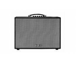 LOA DI ĐỘNG ACNOS CS200PU