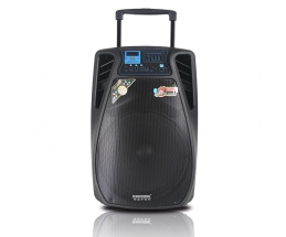 LOA KÉO TEMEISHENG SL-1502
