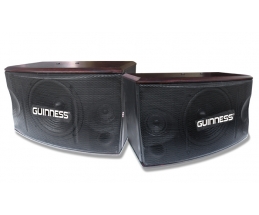 LOA GUINNESS 8.3