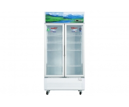Tủ Mát Sanaky Inverter 900 Lít VH-1009HP3