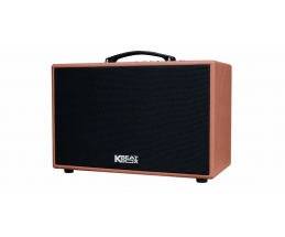 Loa Karaoke mini xách tay ACNOS CS250PU (Nâu)
