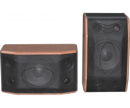 LOA RINTON RT-805
