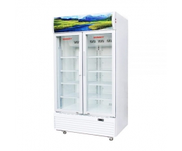 TỦ MÁT 2 CÁNH SANAKY INVERTER 800L VH1009HP