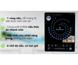 Bếp từ BlueStone ICB-6608